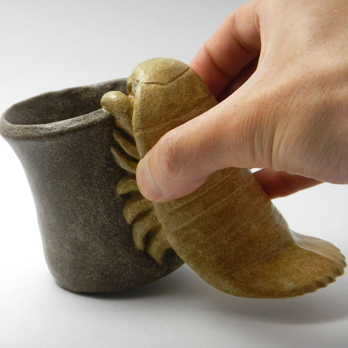 ダイオウグソクムシの背中が掴める ダイオウグソクムシの背中が掴める