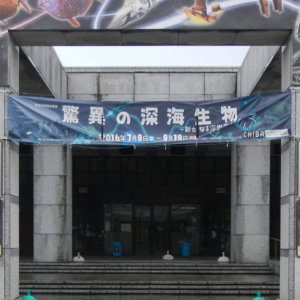 千葉県立中央博物館