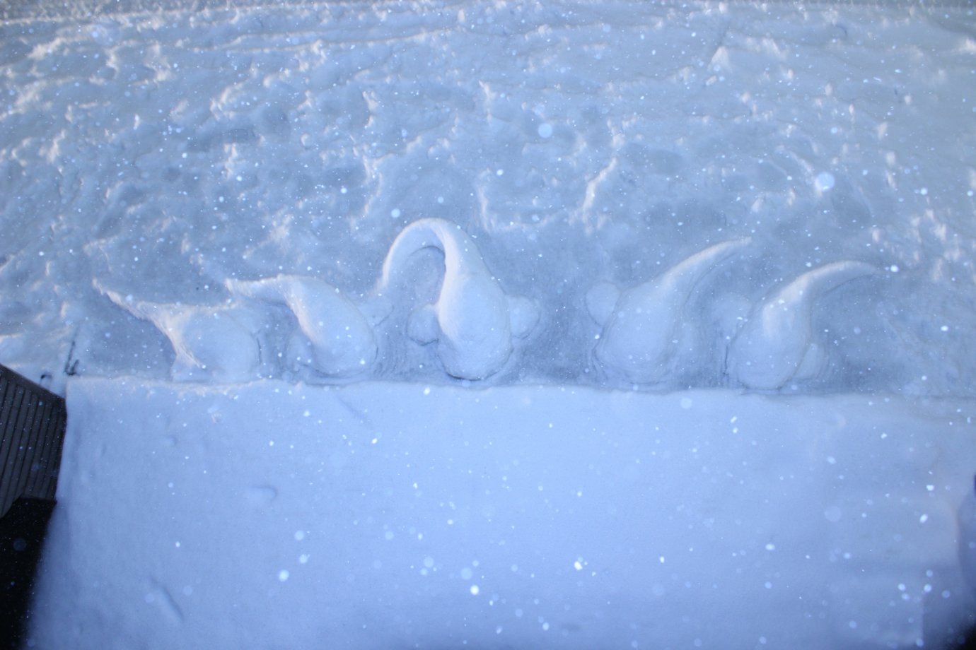 超深海魚マリアナスネイルフィッシュ雪像