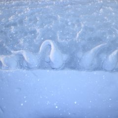 大東京大雪警報・超深海魚マリアナスネイルフィッシュ雪像【雪だるま】