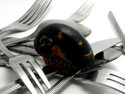 錆スケ・スプーンとフォークに寄生する エクストリーム・スケーリーフット・マグネット