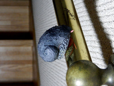 龍スケ・手すりに寄生する エクストリーム・スケーリーフット・マグネット