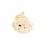 メンダコ幼生 マグネット 深海生物をつかまえてきましたシリーズ