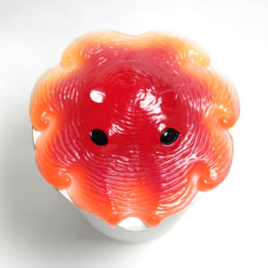 G:熱変色 2860円 G:熱変色