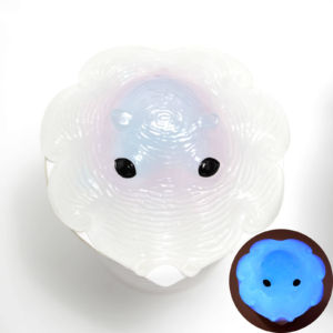 B: 光 2860円 B: 光 2860円