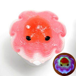 C: 熱 光 3300円 C: 熱 光 3300円