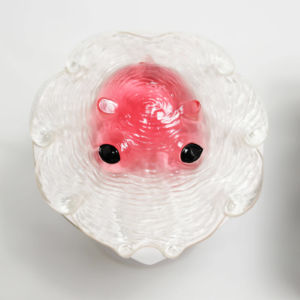 A: 2860円 第三期カップメンダコレイヤーズA