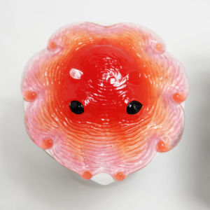 B: 熱 3080円 第三期カップメンダコレイヤーズB