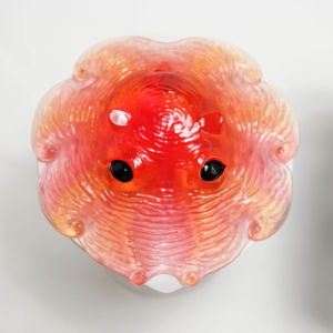 H: 2860円 第三期カップメンダコレイヤーズH