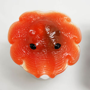 T: 熱 3080円 第三期カップメンダコレイヤーズT