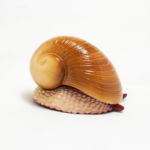 スケーリーフット白 熱水噴出孔マグネット群集