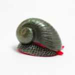 スケーリーフット龍 熱水噴出孔マグネット群集